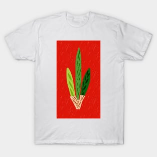 Lulav Red Print T-Shirt